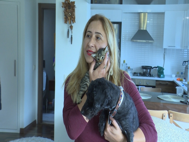 Köpek yavru kediyi emzirip annelik yapıyor